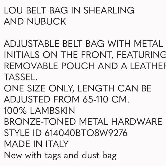 YSL Lou TEDDY LOGO Belt Bag Shearling & Nubuck Bumbag Sherpa SAINT LAURENT - Picture 13 of 15